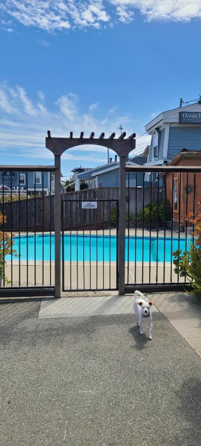 Sunny Cove Motel キャピトラ エクステリア 写真